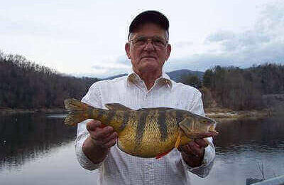 How To Catch Yellow Perch