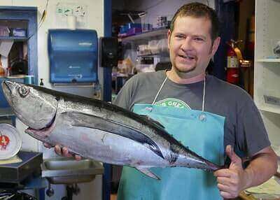 Albacore Tuna Fishing Ideas