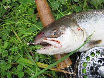 Artic Char Fishing Hacks