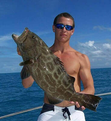 Black Grouper Fishing Ideas