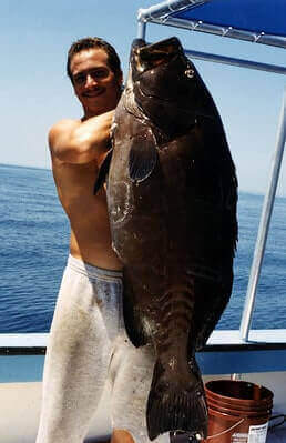 Black Grouper Fishing