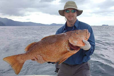 Cubera Snapper Fishing Tips