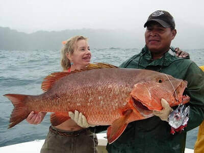 Cubera Snapper Fishing