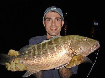 How To Catch Cubera Snapper