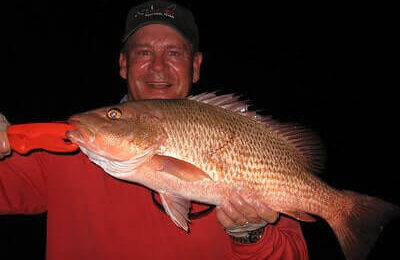 How To Catch Mangrove Snapper