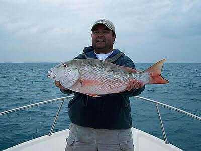 How To Catch Mutton Snapper