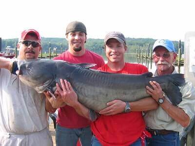 Ideas For Blue Catfish Fishing