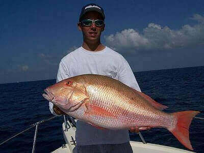 Mutton Snapper Fishing Tips