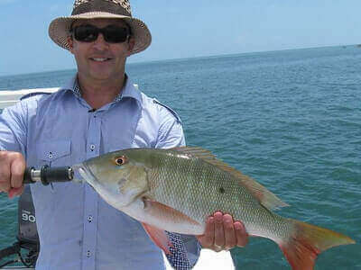 Mutton Snapper Fishing