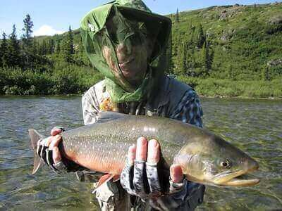 Tips For Artic Char Fishing
