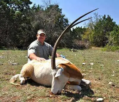 Oryx Hunting Tricks
