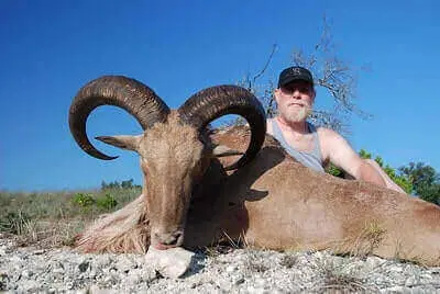 Ideas For Aoudad Hunt