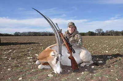 New Mexico Oryx Hunt