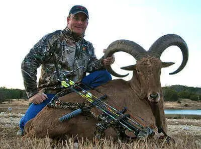 Aoudad Hunting Tricks