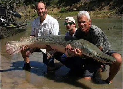 Alligator Gar Fishing tricks