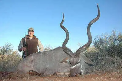 How To Hunt Kudu In Texas