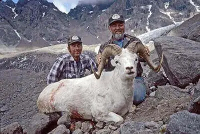 Dall Sheep Hunting Tips