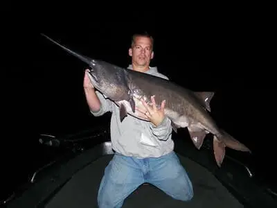 How To Catch Paddlefish