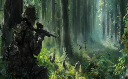 How to Hunt Gray Squirrels